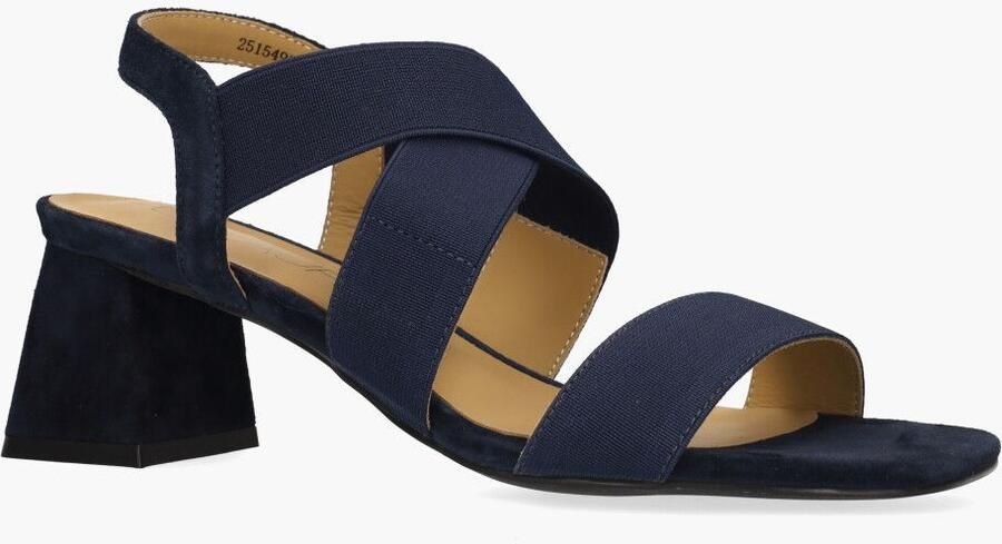 Di lauro Vivian Ray Widy Donkerblauw