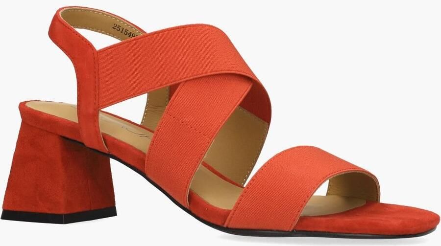 Di lauro Vivian Ray Widy Rood