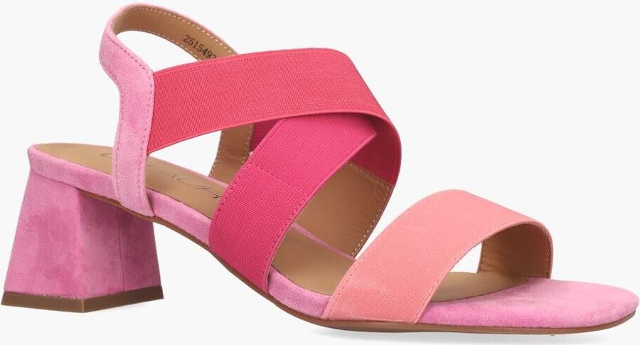 Di lauro Vivian Ray Widy Roze