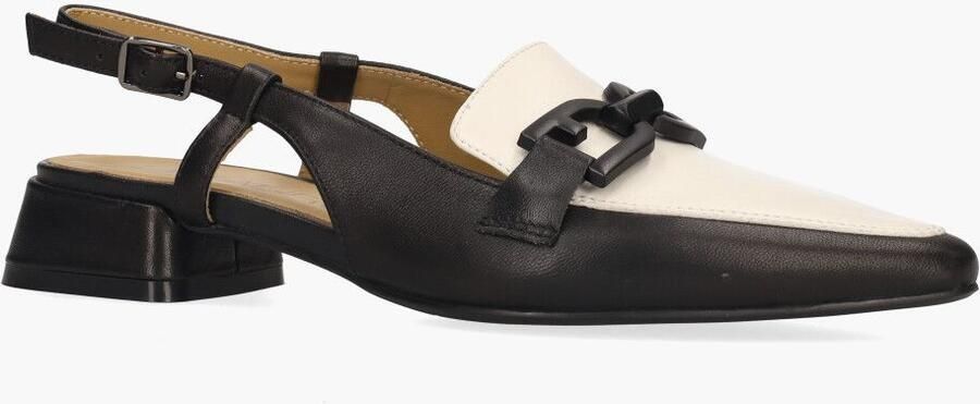 Di lauro Wilicha Zwart Off-White