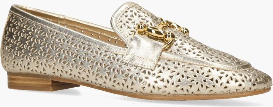 Di lauro Si Willemiek Goud