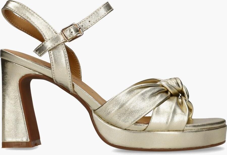 Di lauro Winnie Goud