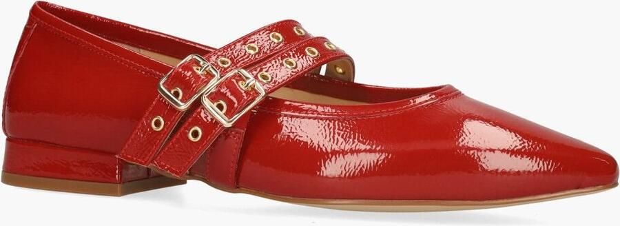 Di lauro Si Wishna Rood