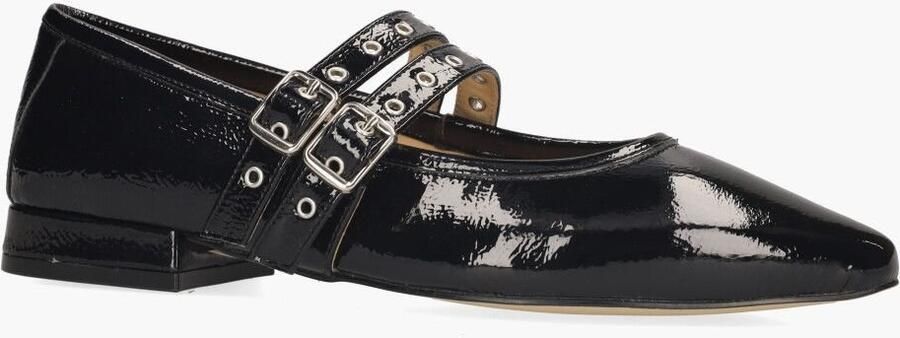 Di lauro Si Wishna Zwart