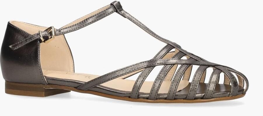 Di lauro Pascucci Wiva Grijs