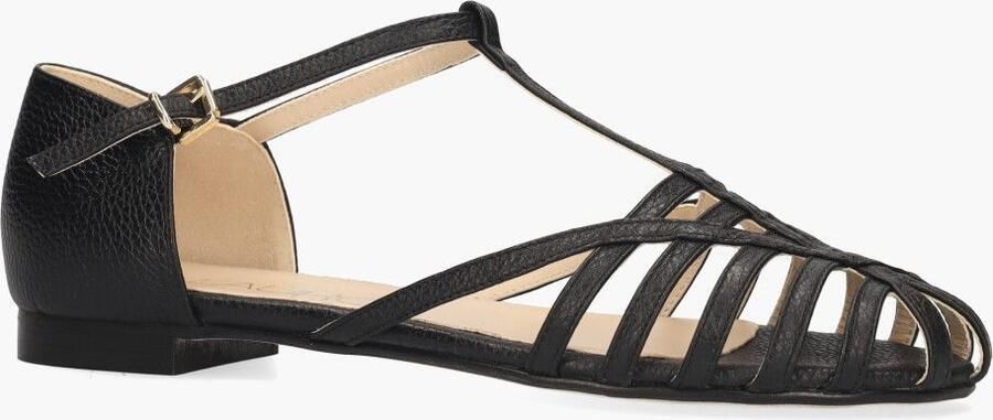 Di lauro Pascucci Wiva Zwart