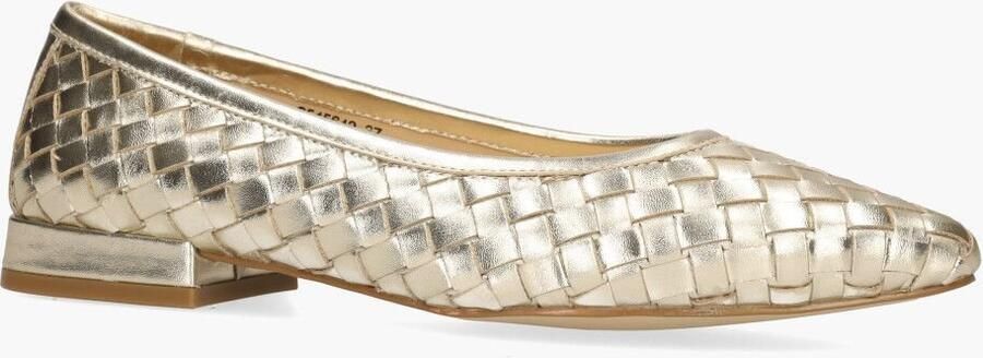 Di lauro Si Wylony Goud