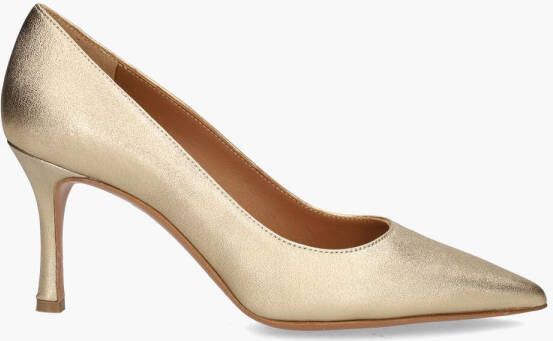 Di lauro F130 Goud