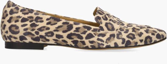 Di lauro Tera Beige Bruin Zwart