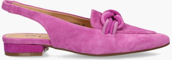 Di lauro Teunice Roze - Foto 2