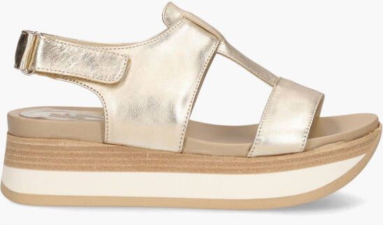 Dl-sport 5701 Goud