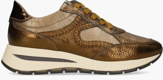 Dl-sport 6333 Goud