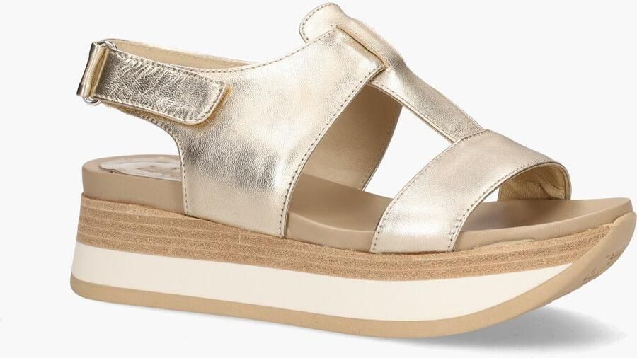 DLSport Dl-sport 5701 Goud