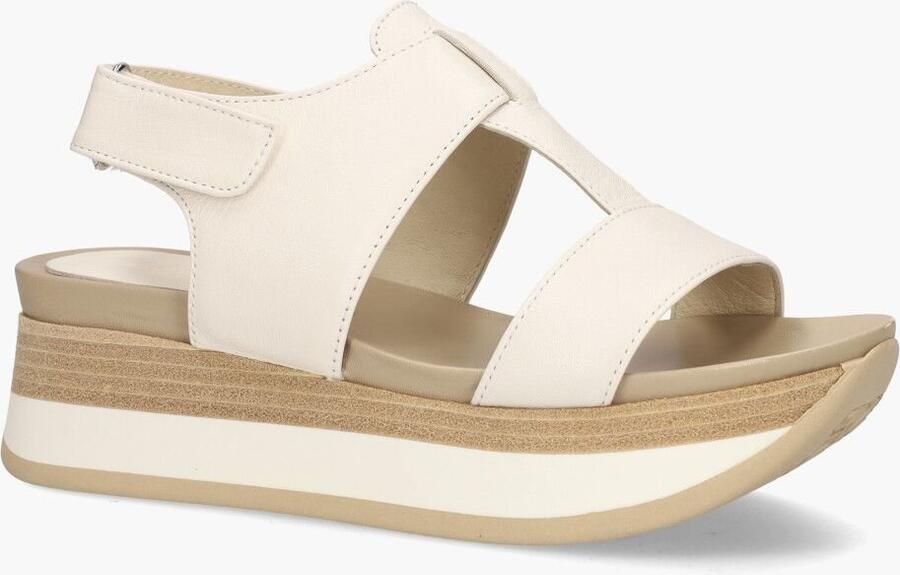 DLSport Dl-sport 5701 Off-White - Foto 2