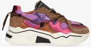 Dwrs Jupiter Terry Bruin Multicolor