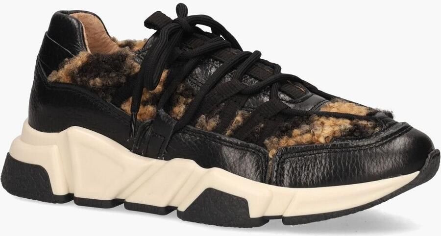 DWRS LABEL Los Angeles Teddy Zwart Bruin Damessneakers