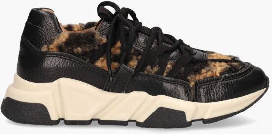 DWRS LABEL Los Angeles Teddy Zwart Bruin Damessneakers