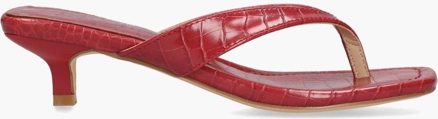 Ella cruz Leyna Zuse Rood