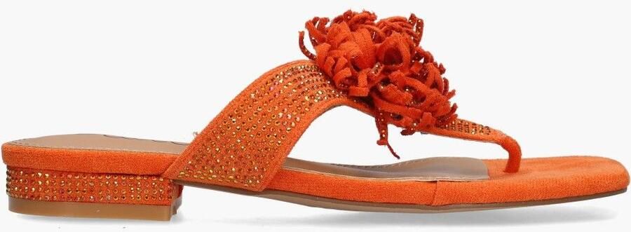 Ella cruz Sirena Zhoe Oranje