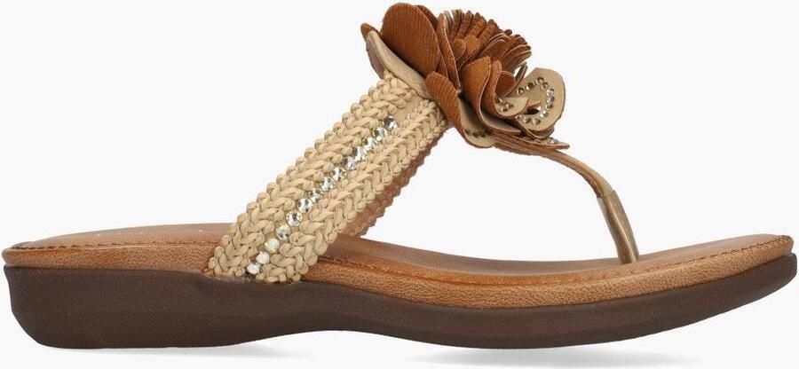 Ella cruz Leyna Zaviery Lichtbruin