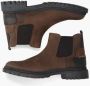Agucino Utto Bruin - Thumbnail 2