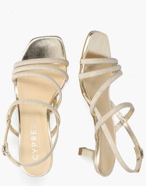 Cypres Wesal Goud