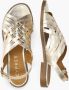 Cypres Willina Goud - Thumbnail 2