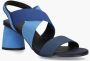Daniele Ancarani Sonata Blauw - Thumbnail 2