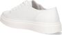 Dr. Martens Dr Martens Dante Venice Schoenen Wit 22127100 Wit Heren - Thumbnail 7