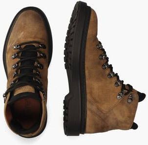 Greve Dolomiti Bruin