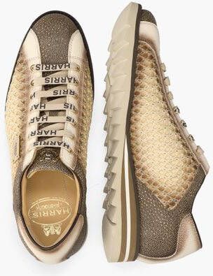Harris 2817 Bruin Off-White