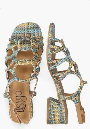 Kashion Wanita Blauw Geel