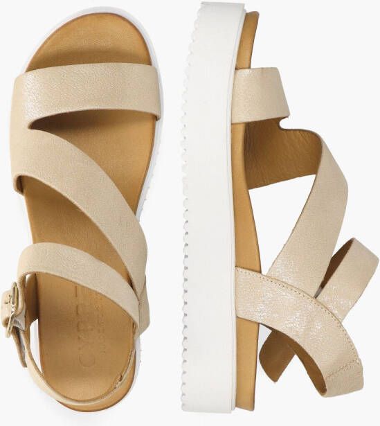 Cypres Metin Thera Beige Goud