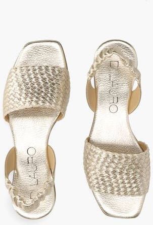 Pascucci 107 Goud