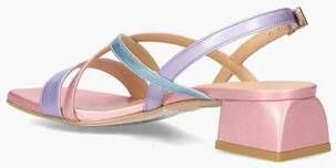 Platone 3000 Lichtroze Multicolor