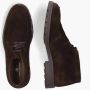 Daniel kenneth Ricbel Upton Donkerbruin - Thumbnail 2