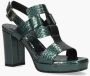 Gioia Rossano Bisconti Roxanna Groen - Thumbnail 2