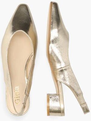 Gioia Stilan Wagar Goud