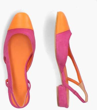 Toral Luisa Roze Oranje