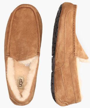 Ugg Ascot Chestnut s