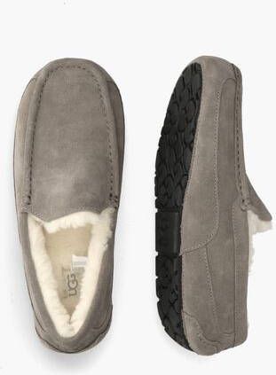 Ugg Ascot Grey s