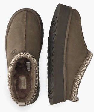 Ugg Tazz Molasses s