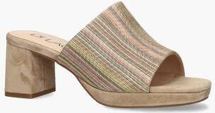 Vivian ray Toria Beige Multicolor