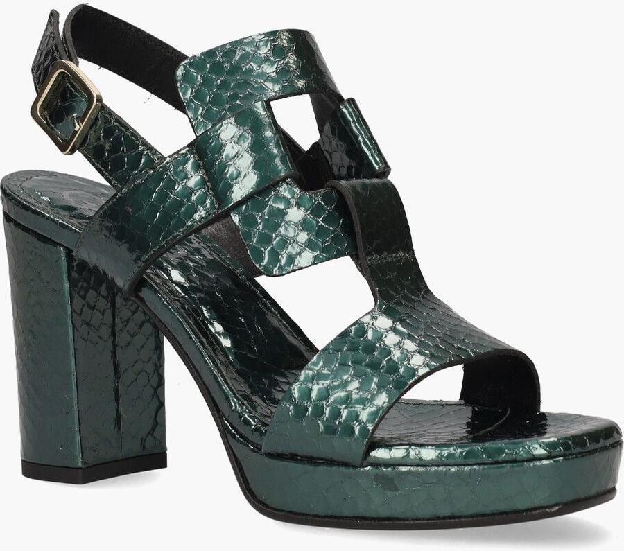 Gioia Rossano Bisconti Roxanna Groen - Foto 2