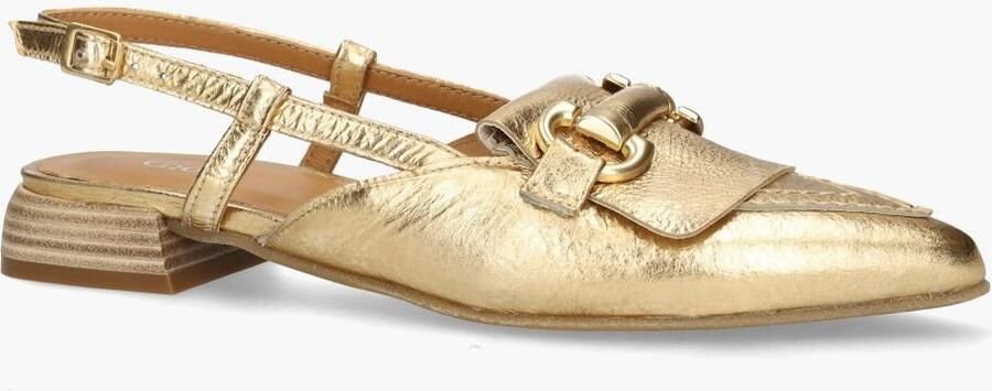 Gioia Mjus T98103401 Goud - Foto 2