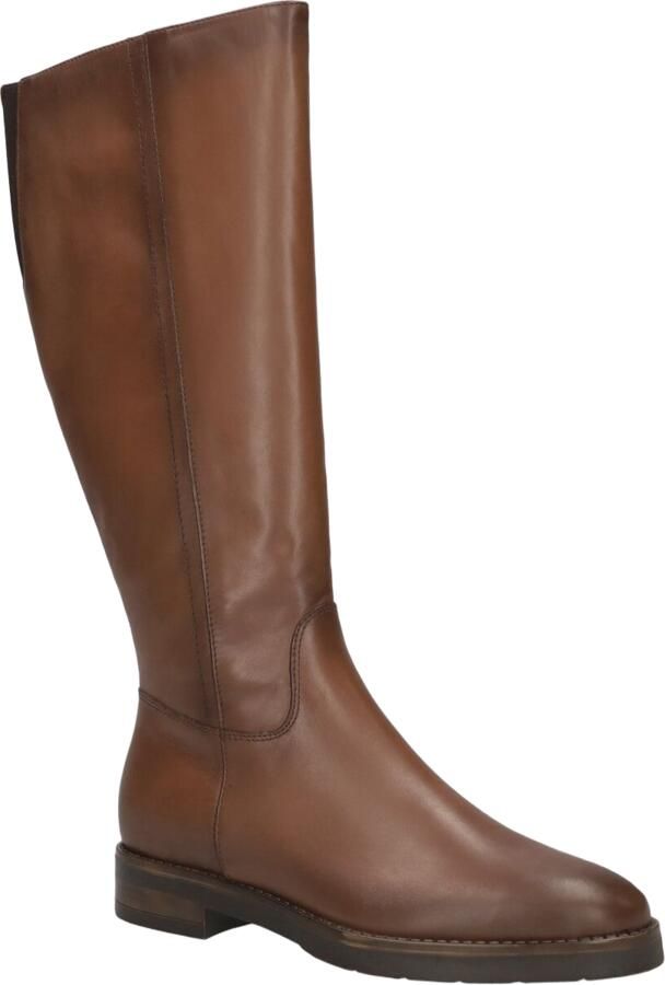 Gioia Cypres Vela Bruin