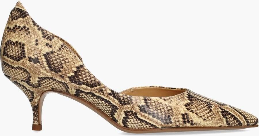 Guglielmo Rotta Alixane Multi