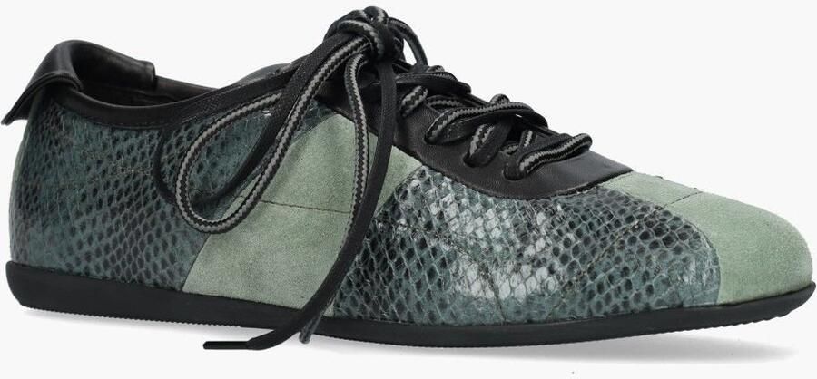 Halmanera 103 Petrol