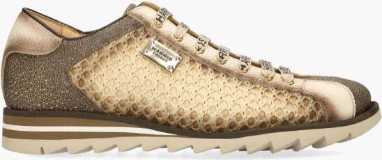 Harris 2817 Bruin Off-White