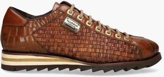 Harris 2817 Cognac